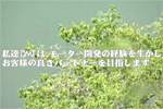 ���i�ē�PV